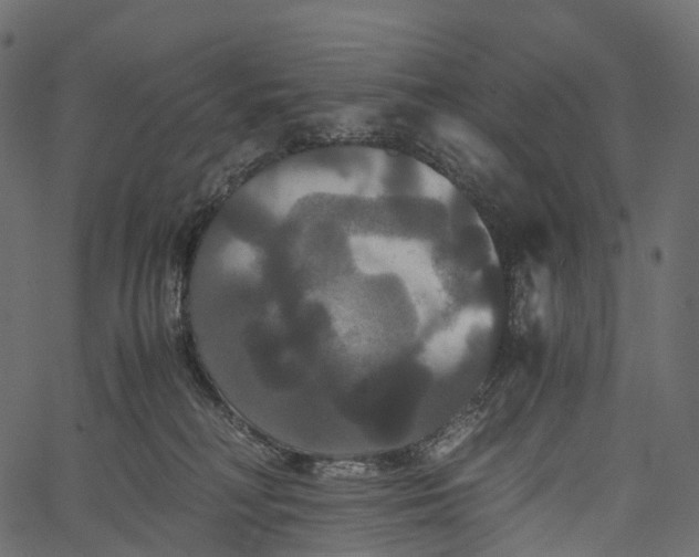 X0000062620230200601111042