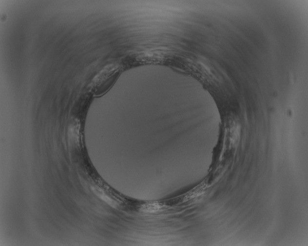 X0000062620231200601111042