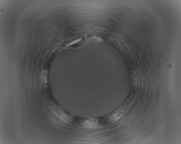 X0000062620232200601111042