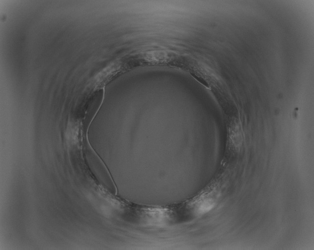 X0000062620233200601111042