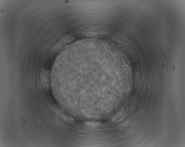 X0000062620234200601111042