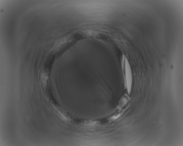 X0000062620235200601111042