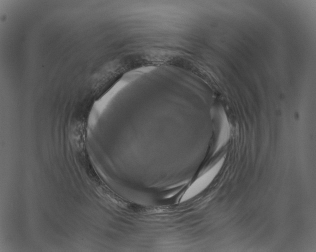 X0000062620237200601111042