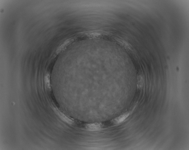 X0000062620238200601111042