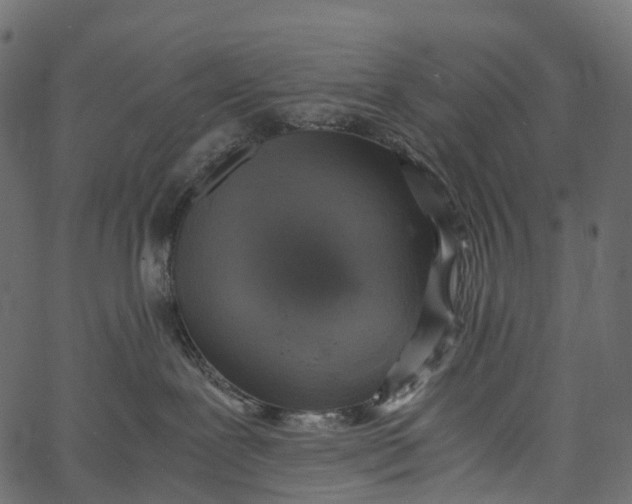 X0000062620239200601111042