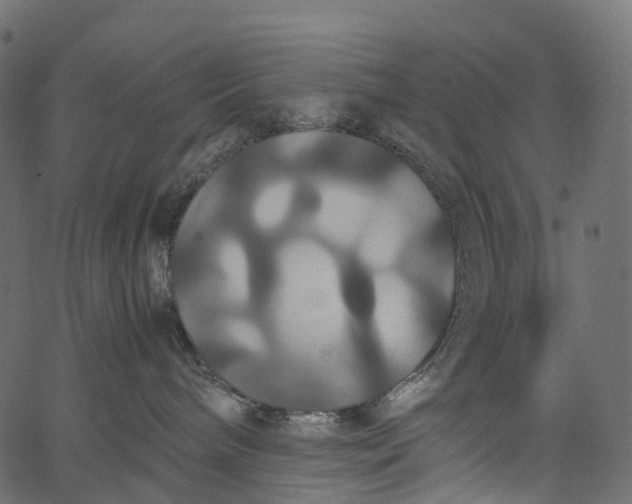 X0000062620240200601111042