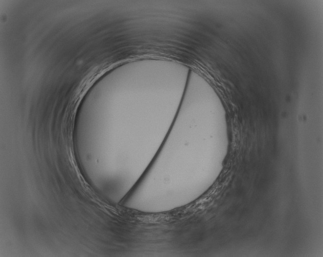 X0000062620241200601111041