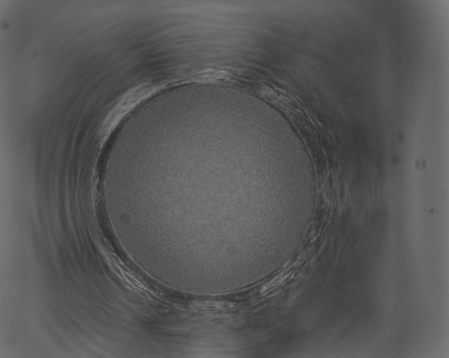 X0000062620242200601111041