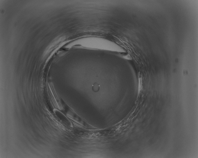 X0000062620243200601111041