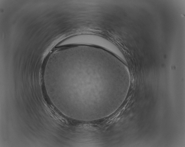 X0000062620244200601111041