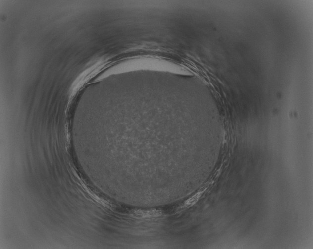 X0000062620245200601111041