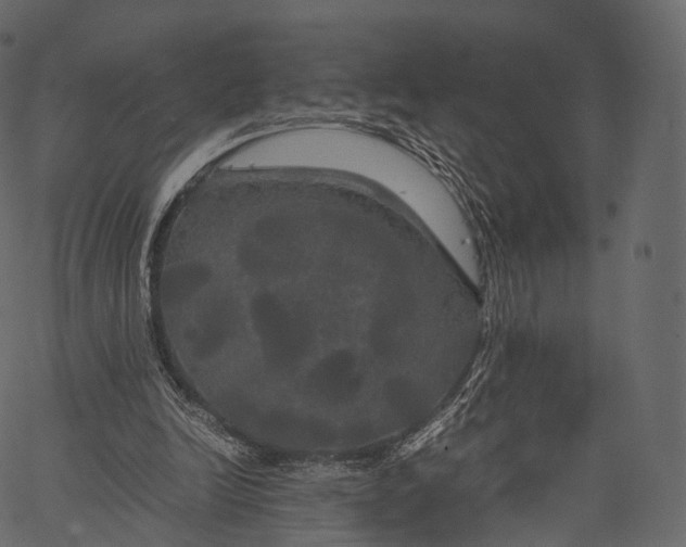 X0000062620246200601111041