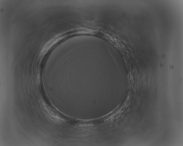 X0000062620247200601111041