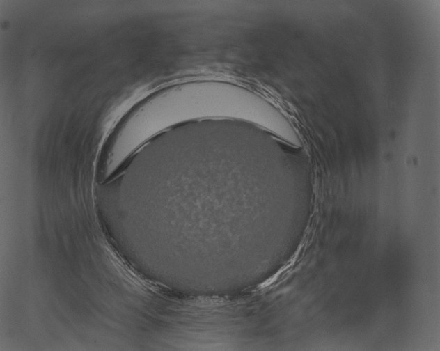 X0000062620248200601111041