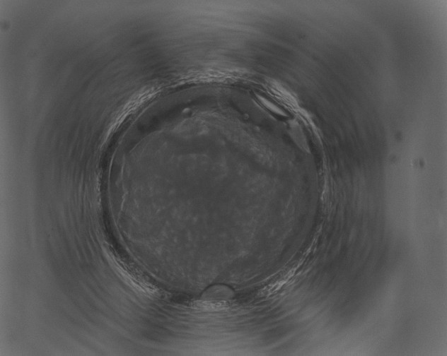 X0000062620250200601111041