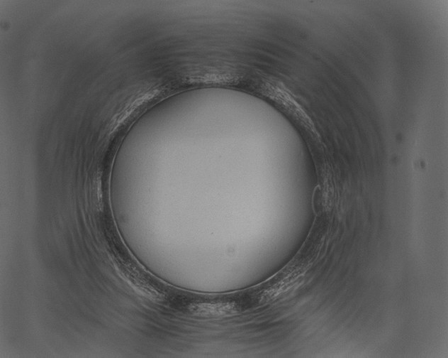 X0000062620251200601111041