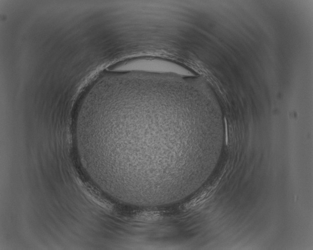 X0000062620252200601111041