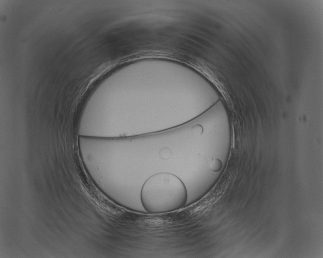 X0000062620253200601111042