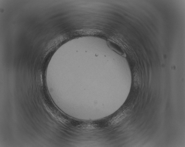 X0000062620254200601111042