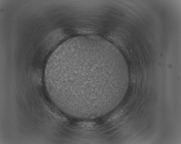 X0000062620255200601111042