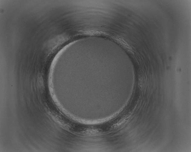 X0000062620256200601111042