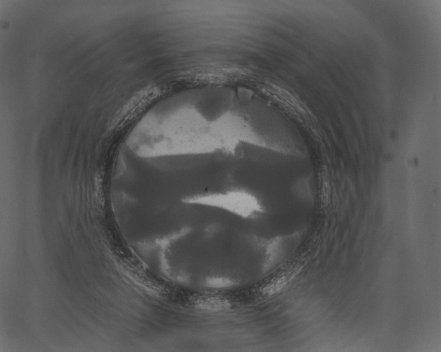 X0000062620258200601111042