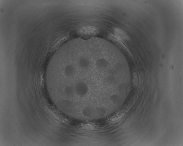 X0000062620259200601111042