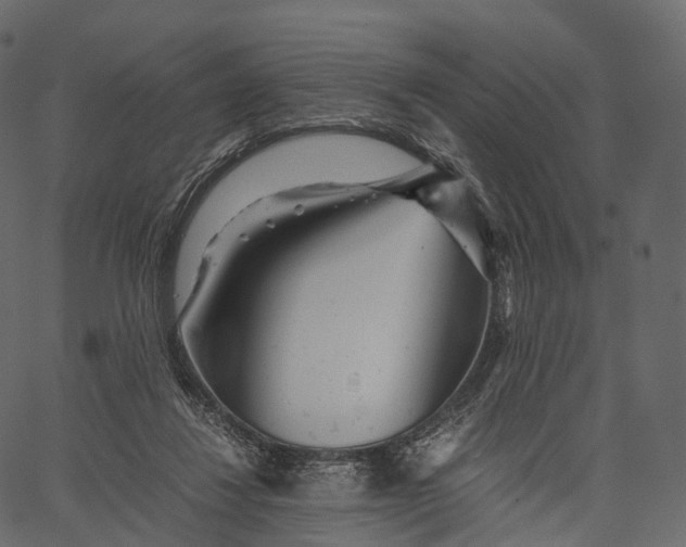 X0000062620260200601111042