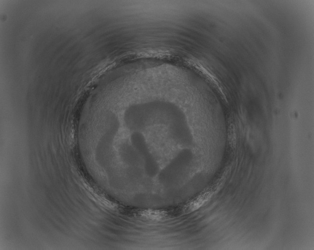 X0000062620261200601111042