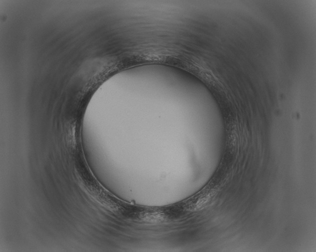 X0000062620262200601111042