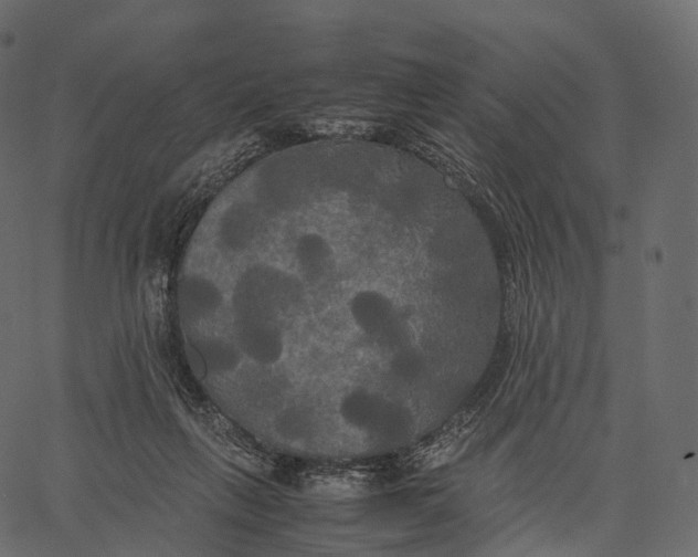 X0000062620263200601111042