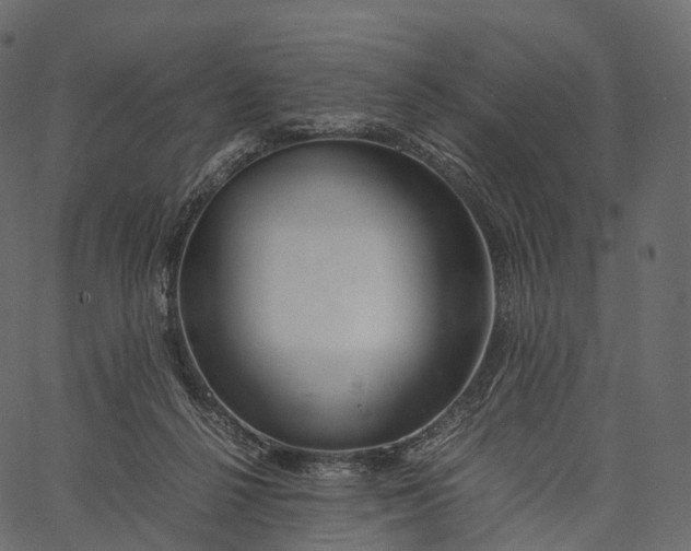 X0000062620264200601111042