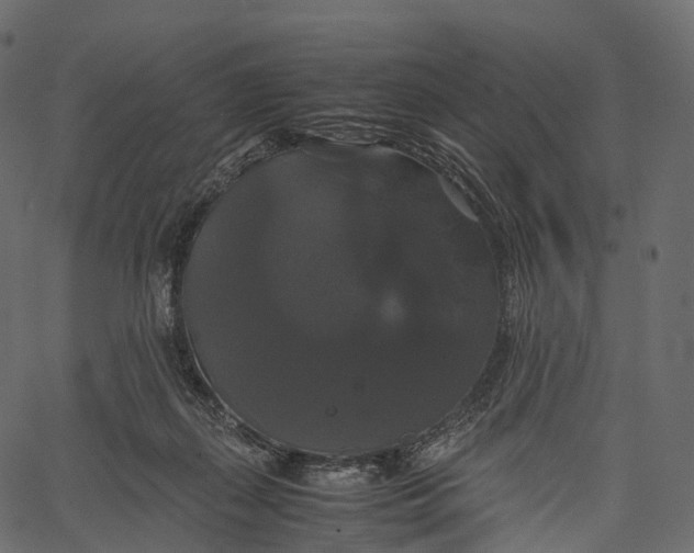 X0000062620267200601111042