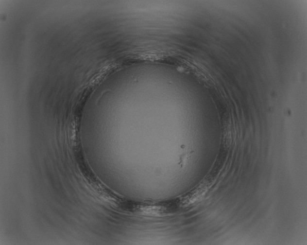 X0000062620268200601111042