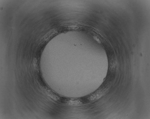 X0000062620270200601111042