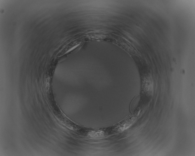 X0000062620271200601111042