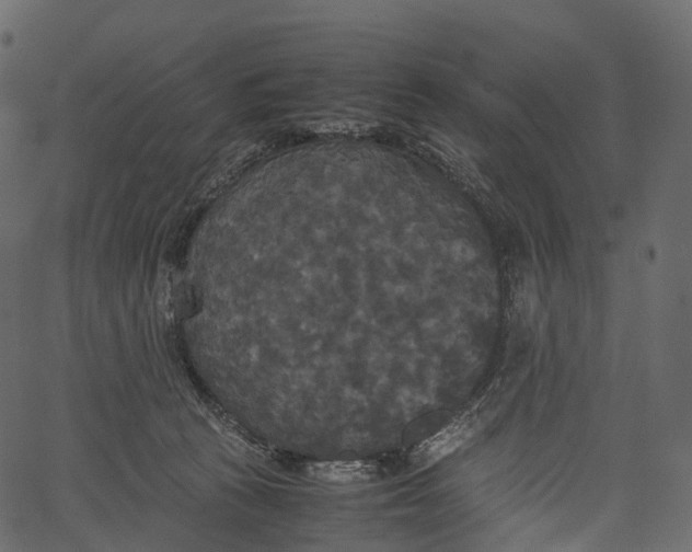 X0000062620273200601111042