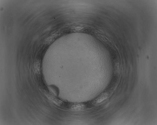 X0000062620274200601111042