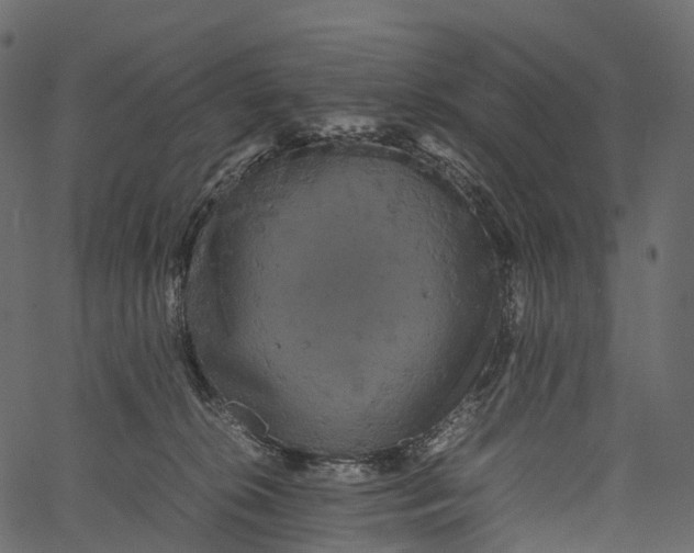 X0000062620276200601111042