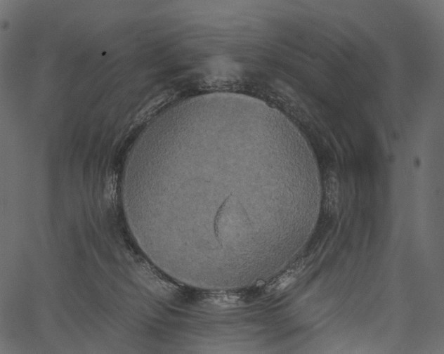 X0000062620278200601111042