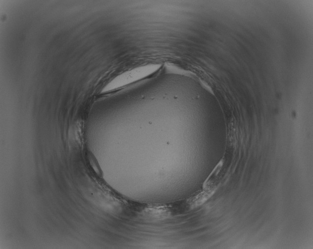 X0000062620280200601111042