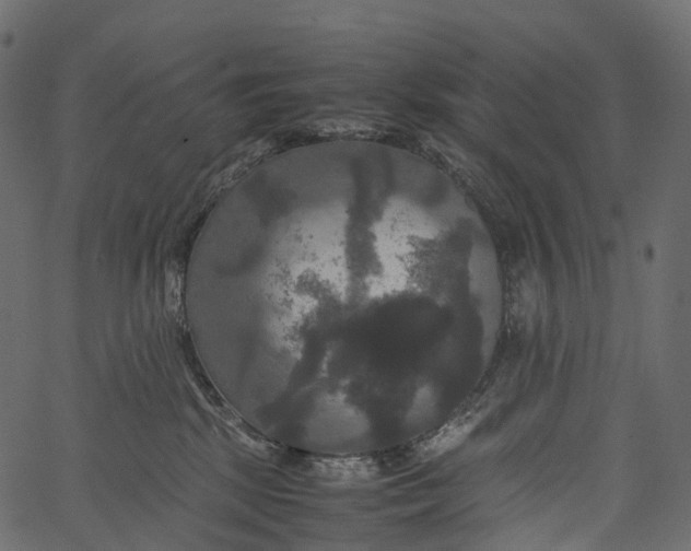 X0000062620281200601111042