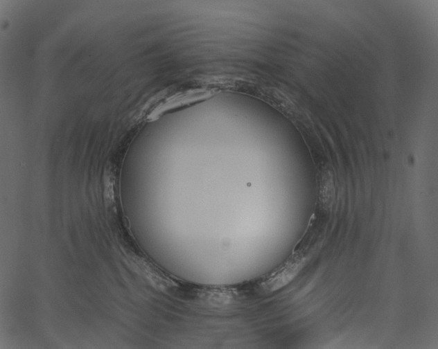 X0000062620282200601111042