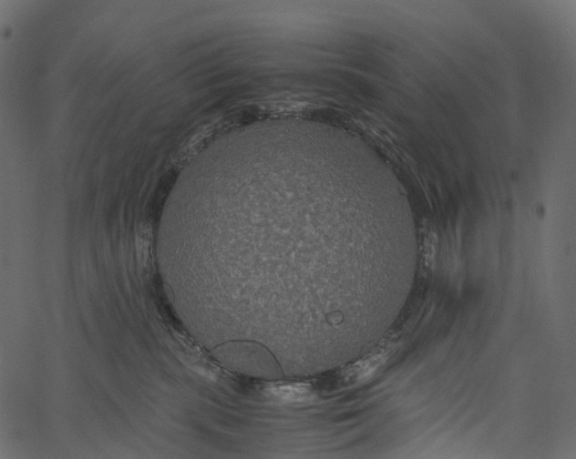 X0000062620283200601111042