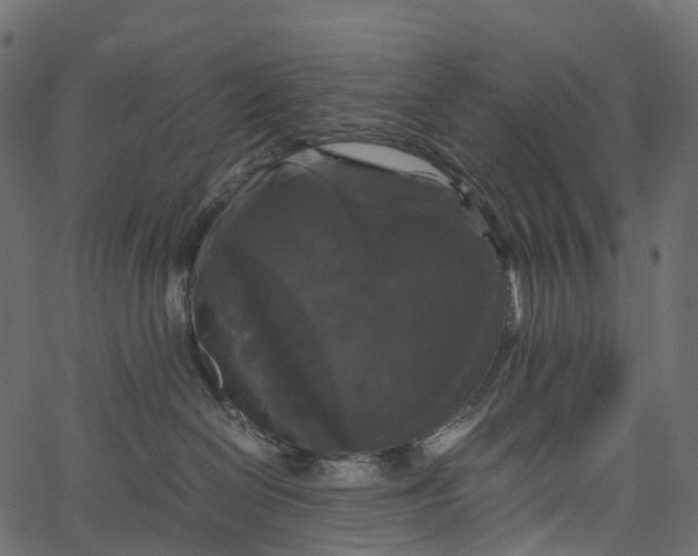 X0000062620286200601111042