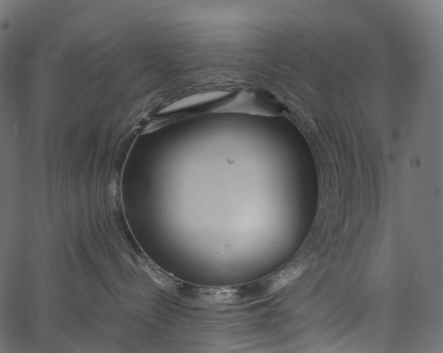 X0000062620288200601111042