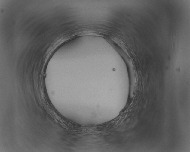 X0000062620289200601111041