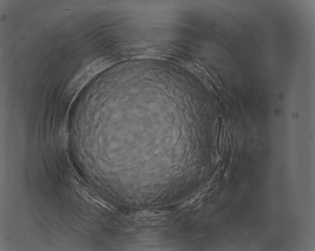 X0000062620290200601111041