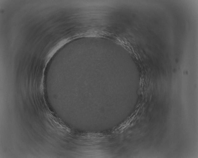 X0000062620292200601111041