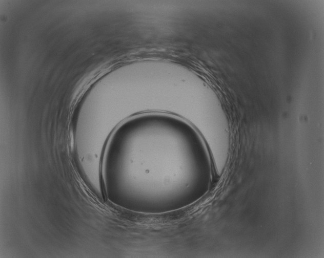 X0000062620293200601111041